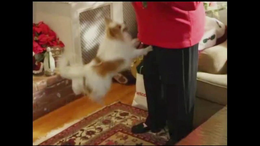 petco tv commercial 39 holidays 39 ispot tv petco christmas commercials