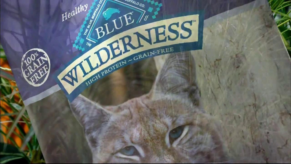 Blue Buffalo Wilderness TV Commercial, 'Wild Cat' iSpot.tv