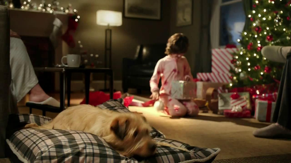 Greenies Canine Chews TV Commercial, 'Christmas' iSpot.tv