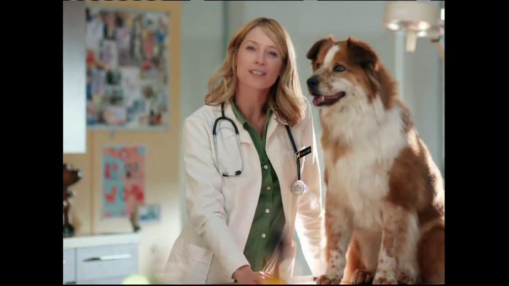 Amica Insurance Company >> Amica Mutual Insurance Company TV Commercial, 'Expectations' - iSpot.tv Amica Insurance Company >> Amica Mutual Insurance Company TV Commercial, 'Expectations' - iSpot.tv