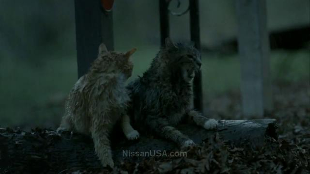 Nissan Commercial Song >> Nissan Pathfinder TV Commercial, 'The Ark' - iSpot.tv Nissan Commercial Song >> Nissan Pathfinder TV Commercial, 'The Ark' - iSpot.tv