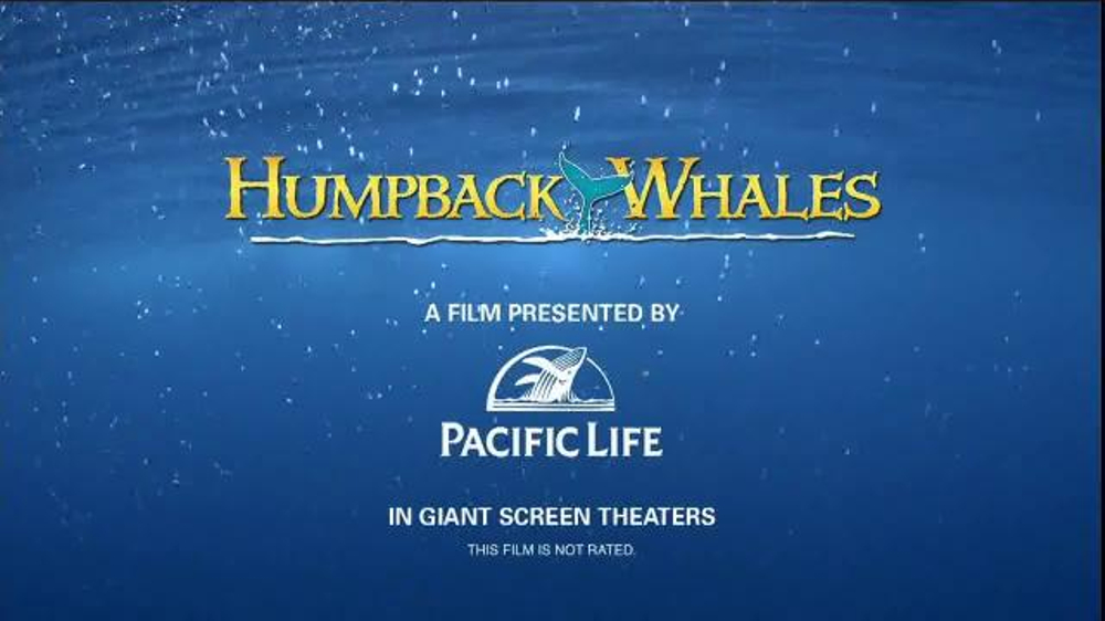 Pacific Life TV Commercial, 'Longterm Financial Security' iSpot.tv