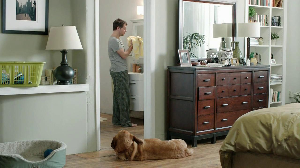 Gain Lift & Lock TV Commercial, 'Dog's Towel' iSpot.tv