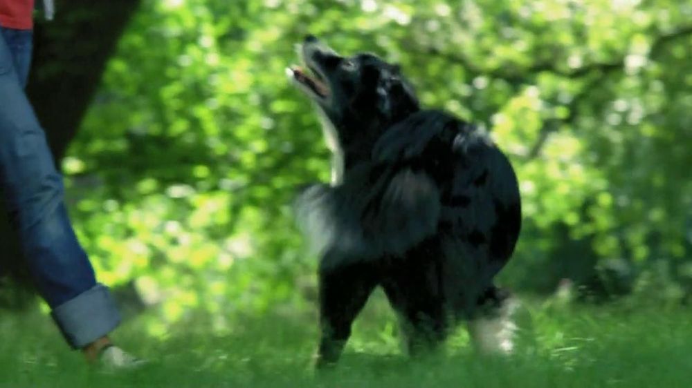 Purina Naturals Dog Food Commercial Purina Naturals Dog Food Commercial