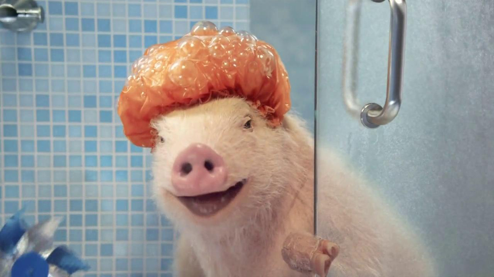 GEICO Mobile App TV Commercial, Shower Featuring Maxwell the Pig ...