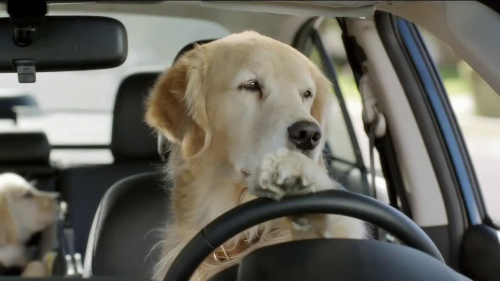 Subaru TV Commercial, 'Dog Tested: In the Dog House ...