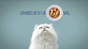 fancy feast commercial