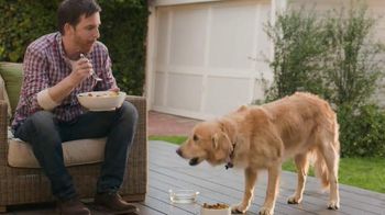 what kind of dog is in the beneful commercial 2018