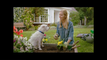 petsmart blue basics