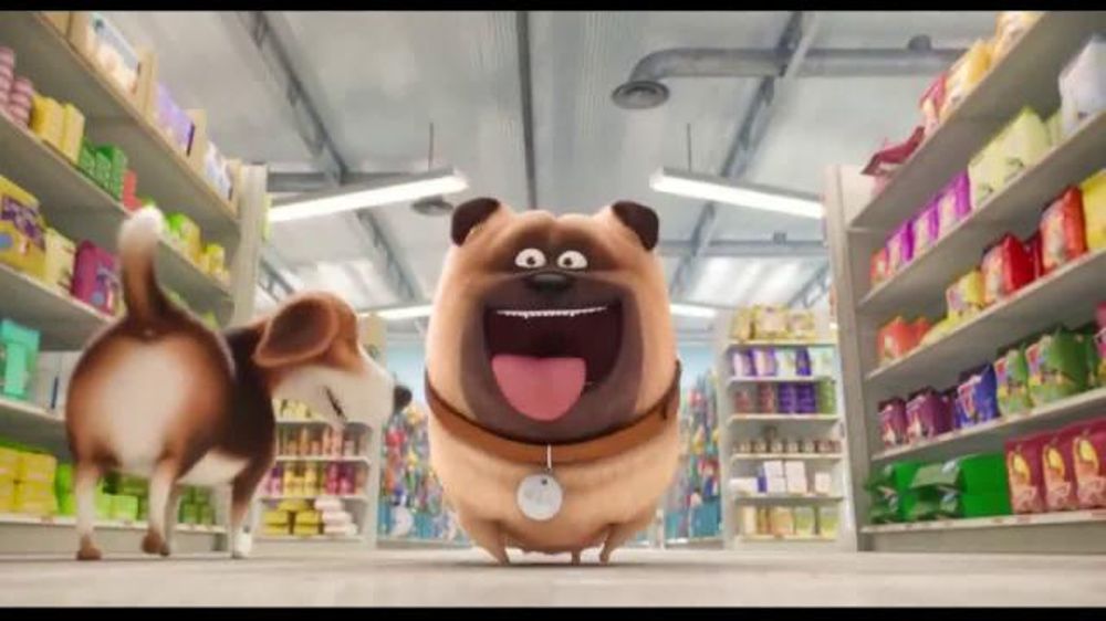 Dog Treat Commercial With Baby Dog Treat Commercial With Baby