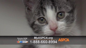 aspca commercial songs