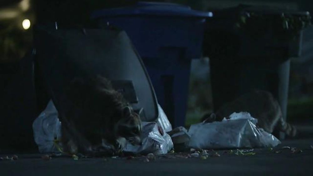 Allstate Motorcycle Insurance >> GEICO TV Commercial, 'Raccoons, C'mon Try It!: It's What You Do' - iSpot.tv Allstate Motorcycle Insurance >> GEICO TV Commercial, 'Raccoons, C'mon Try It!: It's What You Do' - iSpot.tv