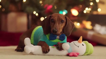 Sonf In Petsmart Christmas 2022 Commercial Petsmart Tv Spot, 'Holidays: Dachshund Christmas' Song By Queen - Ispot.tv