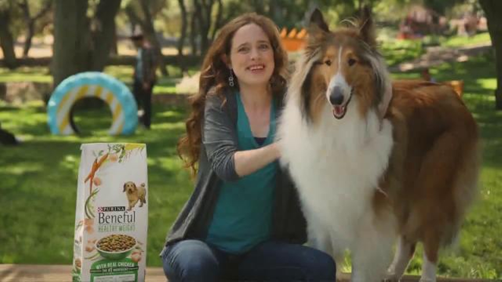 Beneful Commercial Dog Eating Beneful Commercial Dog Eating