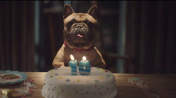 amazon commercial dog amazon commercial dog