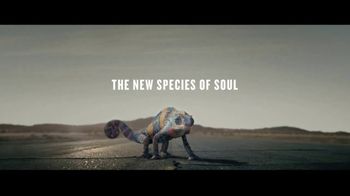 New Animal Species 2020 2020 Kia Soul TV Commercial, 'The New Species of Soul' Song by New Animal Species 2020 2020 Kia Soul TV Commercial, 'The New Species of Soul' Song by