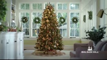 Balsam Hill Biggest Sale Of The Season Tv Commercial This Tree