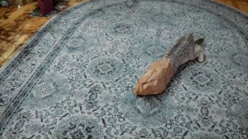 meow mix standing cat commercial