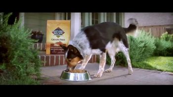 nature's recipe grain free small breed