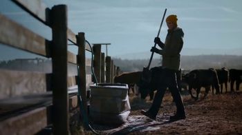 duluth flexpedition pants review