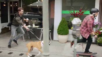 what kind of dog is in the petsmart commercial 2017