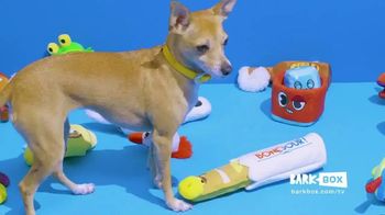 barkbox every other month