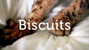 fresh step commercial