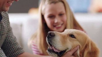 petcomfort feeding system