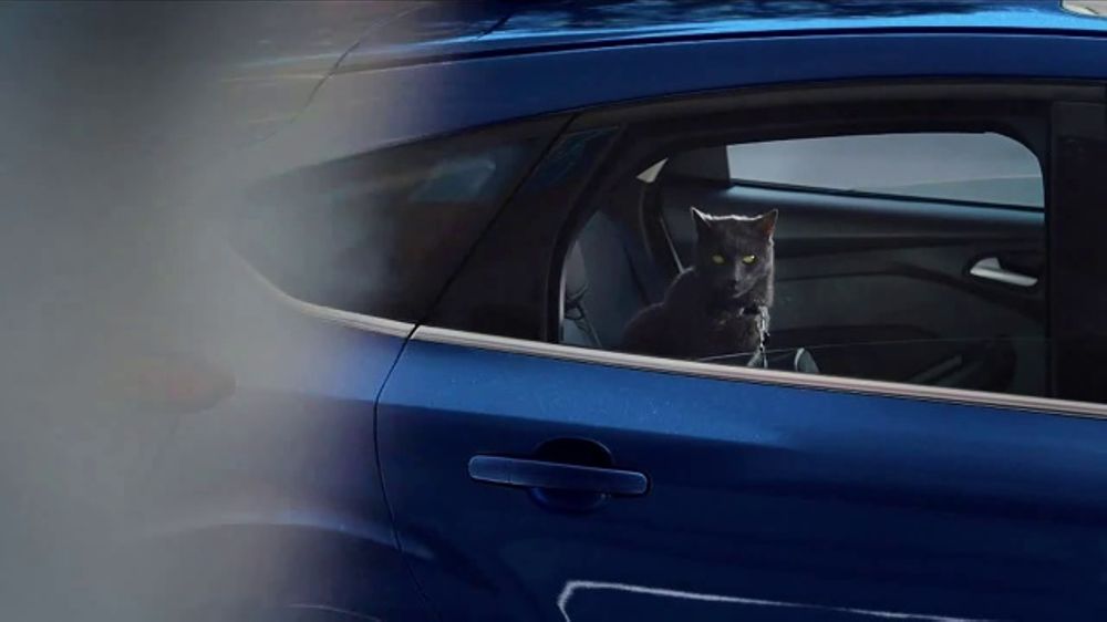 Ford Commercial With Cat And Dog Ford Commercial With Cat And Dog