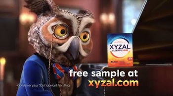 xyzal owl stuffed animal