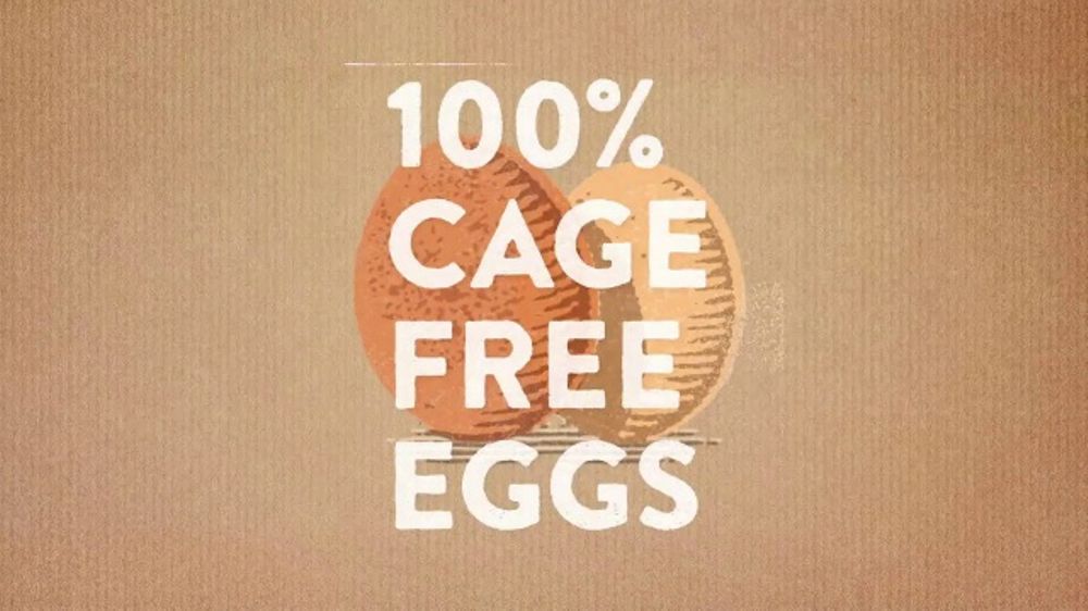 Best Foods Real Mayonnaise TV Commercial, 'We Care' iSpot.tv